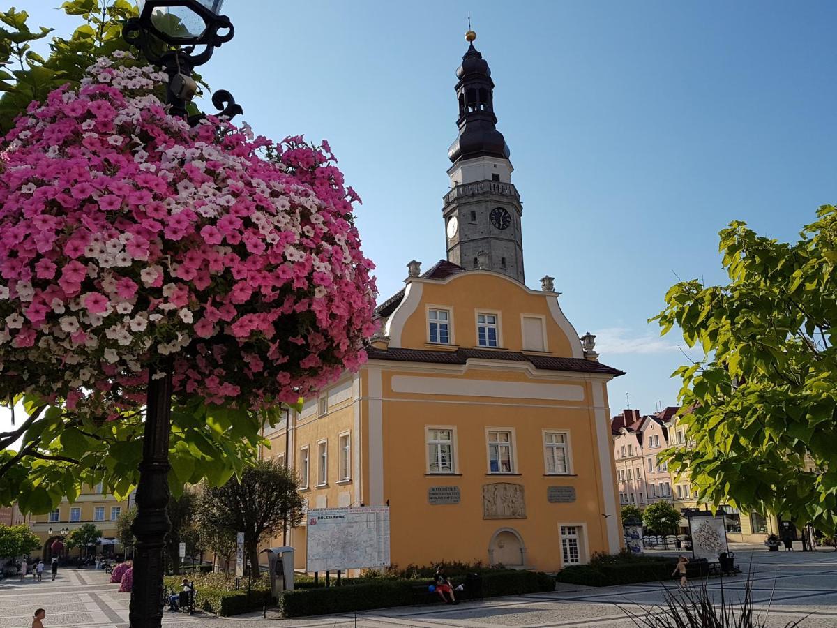 Apartament Przy Starowce - Hampton Boleslawiec  Exterior photo